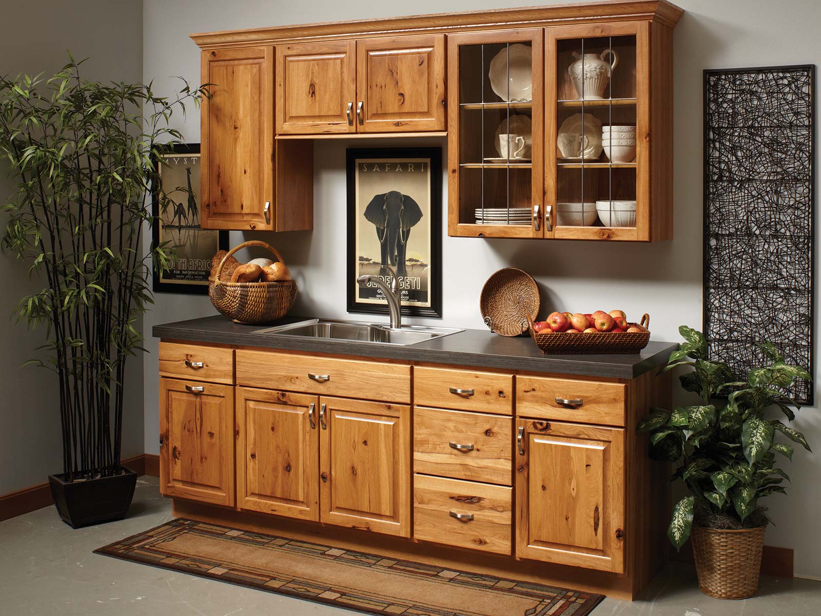 Dish best sale cabinet wood